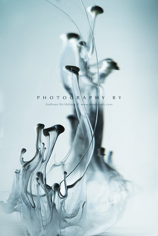 Abstract