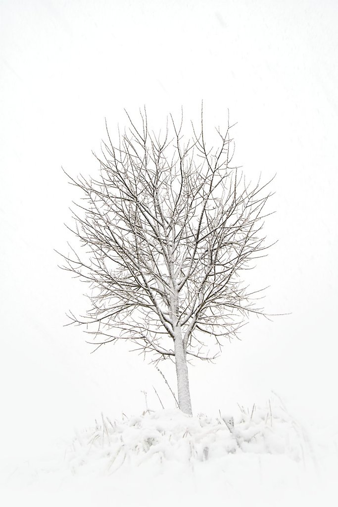 Nature-201119-016.jpg