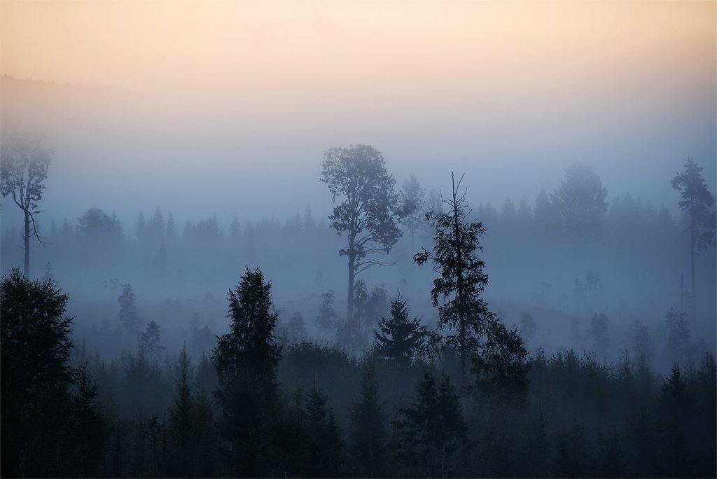 Nature-200902-061.jpg