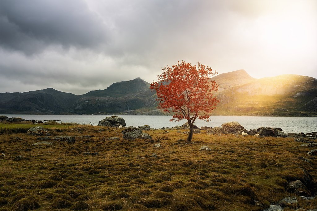 Lofoten-210901-223.jpg