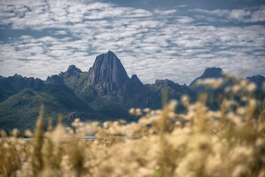 Lofoten-230707-257.jpg