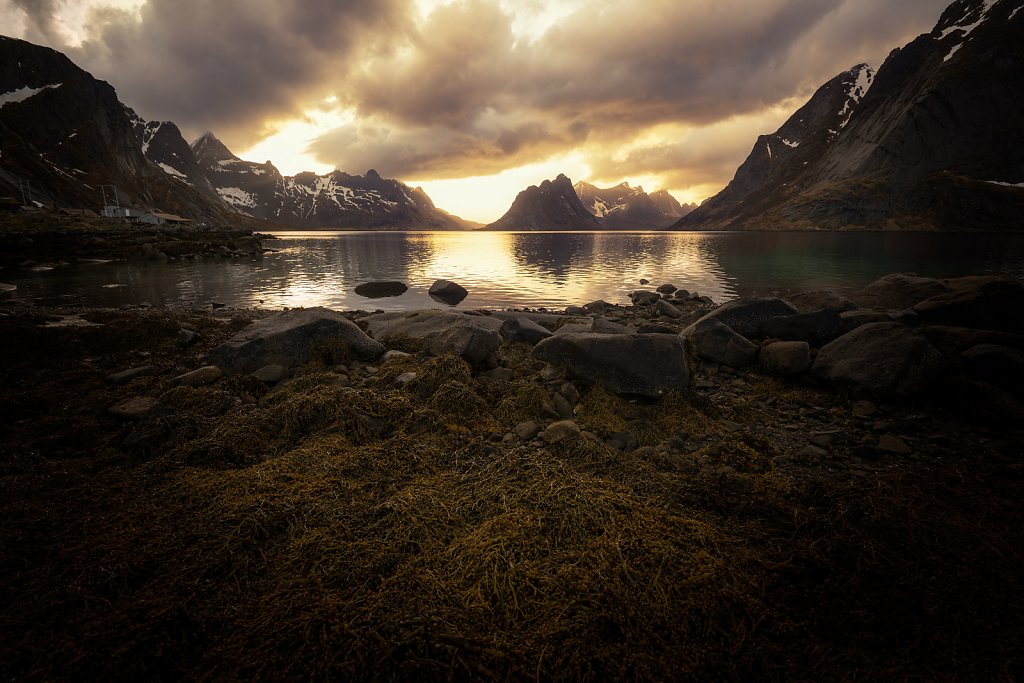 Lofoten-240510-038-1.jpg