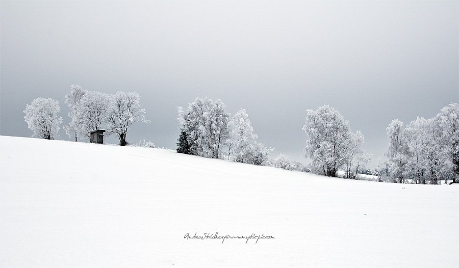 Hoarfrost-100115-060.jpg