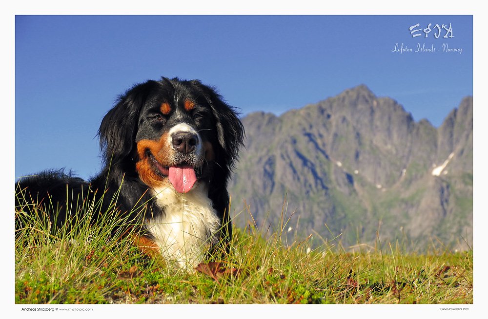 eijas-lofoten.jpg